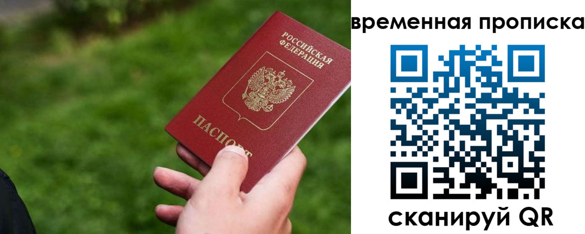 прописка 2025 в Алейске